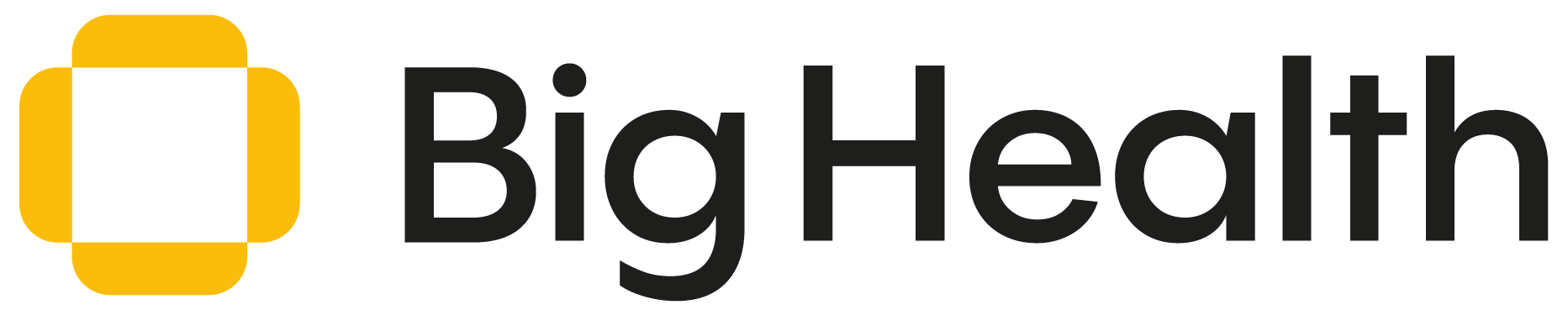 BigHealth Logo